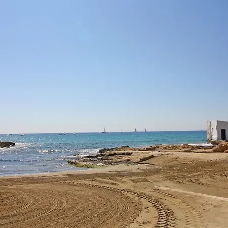 Costa - Jose Luis カルプ